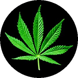 CANABIS: Leaf (jelvény, 2,5 cm)