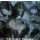 IMMORTAL: Blizzard Beasts (CD)