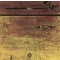 ALICE COOPER: Schools Out (CD)