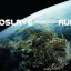 AUDIOSLAVE: Revelations (CD)
