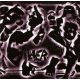 SLAYER: Undisputed Attitude (CD)