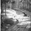 BURZUM: Hvis Lyset Tar Oss (LP, 180gr)