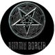 DIMMU BORGIR: Logo (jelvény, 2,5 cm)