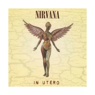 NIRVANA: In Utero (20th Anniversary) (CD)