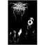 DARKTHRONE: Transilvanian Hunger (zászló)