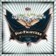FOO FIGHTERS: In Your Honor (2LP)
