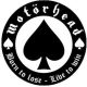 MOTORHEAD: Born To Loose (jelvény, 2,5 cm)