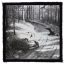 BURZUM: Hvis Lyset Tar Oss (9,5 cm x 9,5 cm) (felvarró)