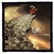 KORN: Follow (9,5 cm x 9,5 cm) (felvarró)