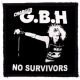 GBH: No Survivors (9,5 cm x 9,5 cm) (felvarró)