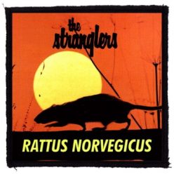 STRANGLERS: Rattus Norvegicus (9,5 cm x 9,5 cm) (felvarró)
