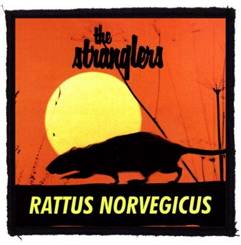 STRANGLERS: Rattus Norvegicus (9,5 cm x 9,5 cm) (felvarró)