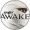 SKILLET: Awake (jelvény, 2,5 cm)
