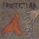 PROSECTURA: Szegény ember kézzel nőz (CD)