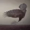 KATATONIA: The Fall Of Hearts (2LP)