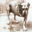 ALICE IN CHAINS: Alice In Chains (CD)