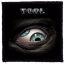 TOOL: Eye (9,5 cm x 9,5 cm) (felvarró)