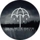 BRING ME THE HORIZON: That's The Spirit (nagy jelvény, 3,7 cm)