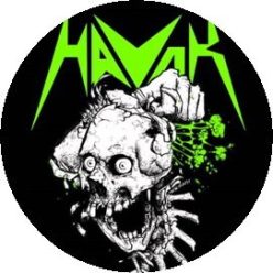 HAVOK: Skull (jelvény, 2,5 cm)