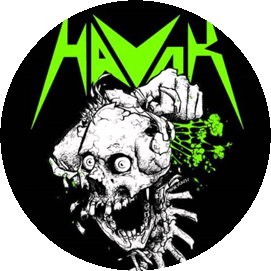 HAVOK: Skull (jelvény, 2,5 cm)