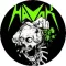HAVOK: Skull (jelvény, 2,5 cm)