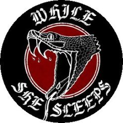 WHILE SHE SLEEPS: Snake (jelvény, 2,5 cm)