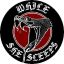 WHILE SHE SLEEPS: Snake (jelvény, 2,5 cm)