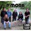 P. MOBIL: 2008-2017 (3CD+24 oldalas booklet)