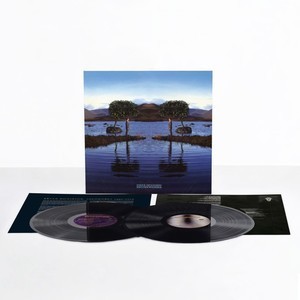 BRUCE DICKINSON: Skunkworks (2LP, 180 gr)