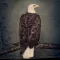 CLUTCH: Book Of Bad Descisions (CD)