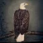CLUTCH: Book Of Bad Descisions (CD)