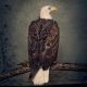CLUTCH: Book Of Bad Descisions (CD)