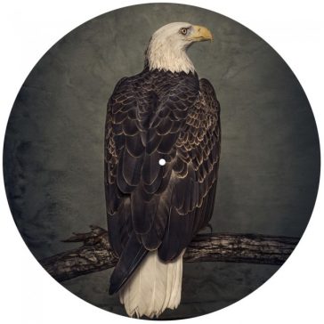 CLUTCH: Book Of Bad Descisions (2LP, picture disc, ltd.)