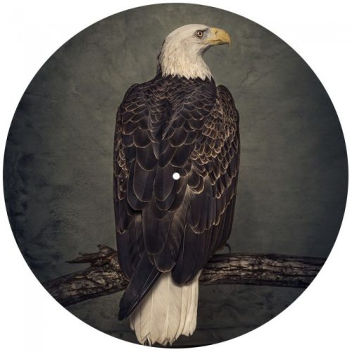 CLUTCH: Book Of Bad Descisions (2LP, picture disc, ltd.)