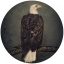 CLUTCH: Book Of Bad Descisions (2LP, picture disc, ltd.)