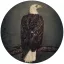 CLUTCH: Book Of Bad Descisions (2LP, picture disc, ltd.)