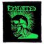 EXPLOITED: Green Skull (8,5 cm x 9,5 cm) (felvarró)