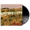 SYSTEM OF A DOWN: Toxicity (LP)