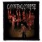 CANNIBAL CORPSE: Torture (8,5 cm x 9,5 cm) (felvarró)