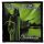 CHILDREN OF BODOM: Hatebreeder (9,5 cm x 9,5 cm) (felvarró)