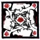 RED HOT CHILI PEPPERS: Blood Sugar (9,5 cm x 9,5 cm) (felvarró)