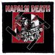 NAPALM DEATH: Nazi Punks (9,5 cm x 9,5 cm) (felvarró)