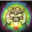 MOTORHEAD: Overkill (LP, 180 gr)
