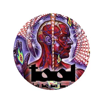 TOOL: Lateralus (jelvény, 2,5 cm)