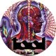 TOOL: Lateralus (jelvény, 2,5 cm)
