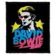 DAVID BOWIE: Starman (8 cm x 9,5 cm) (felvarró)