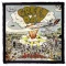 GREEN DAY: Dookie (9,5 cm x 9,5 cm) (felvarró)