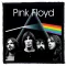 PINK FLOYD: Band DSOTM (9,5 cm x 9,5 cm) (felvarró)