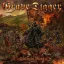 GRAVE DIGGER: Fields Of Blood (LP)