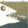 EX, THE: Dead Fish (CD)